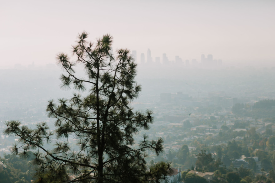 Surprise Proposal High above LA – Photo by Let's Frolic Together
