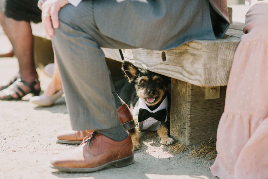 Sweet & Sunny Lagoon Elopement – Photo by Let's Frolic Together