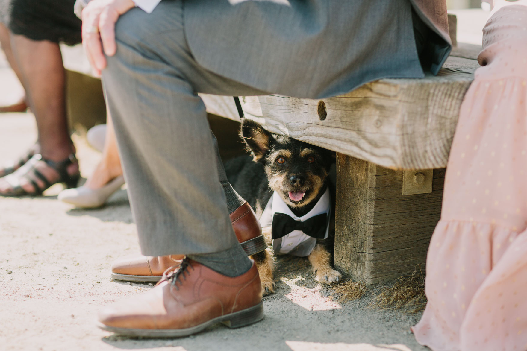 Sweet & Sunny Lagoon Elopement – Photo by Let's Frolic Together