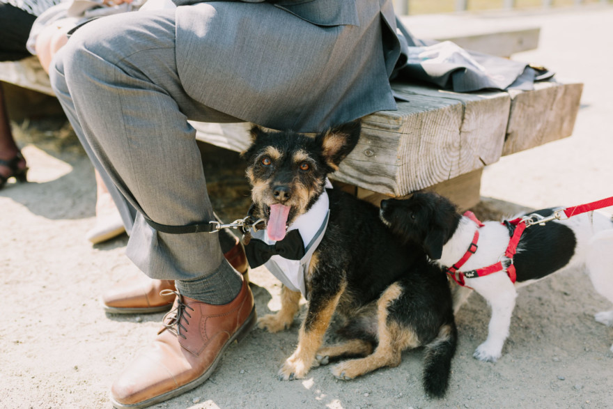 Sweet & Sunny Lagoon Elopement – Photo by Let's Frolic Together