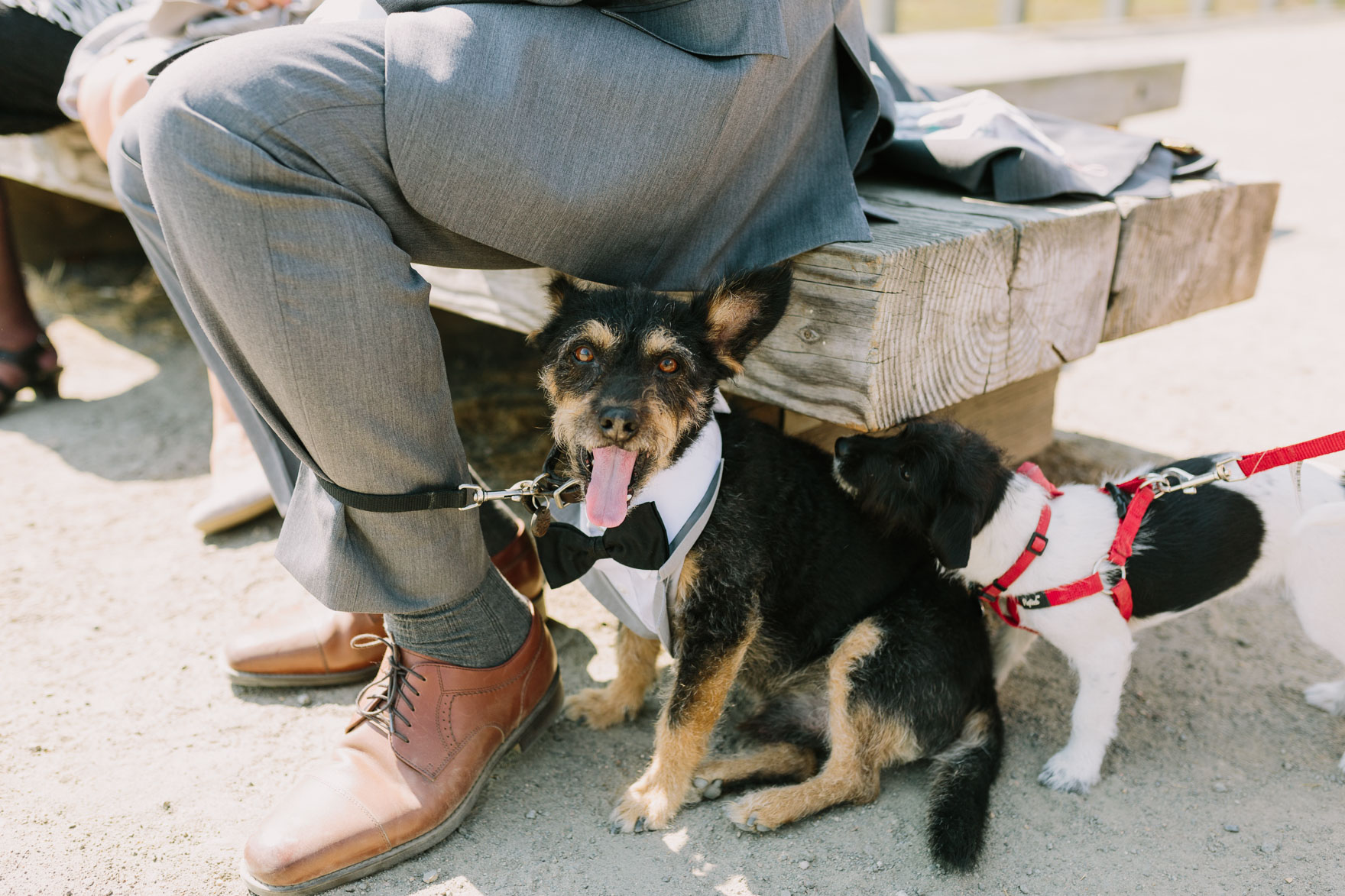 Sweet & Sunny Lagoon Elopement – Photo by Let's Frolic Together