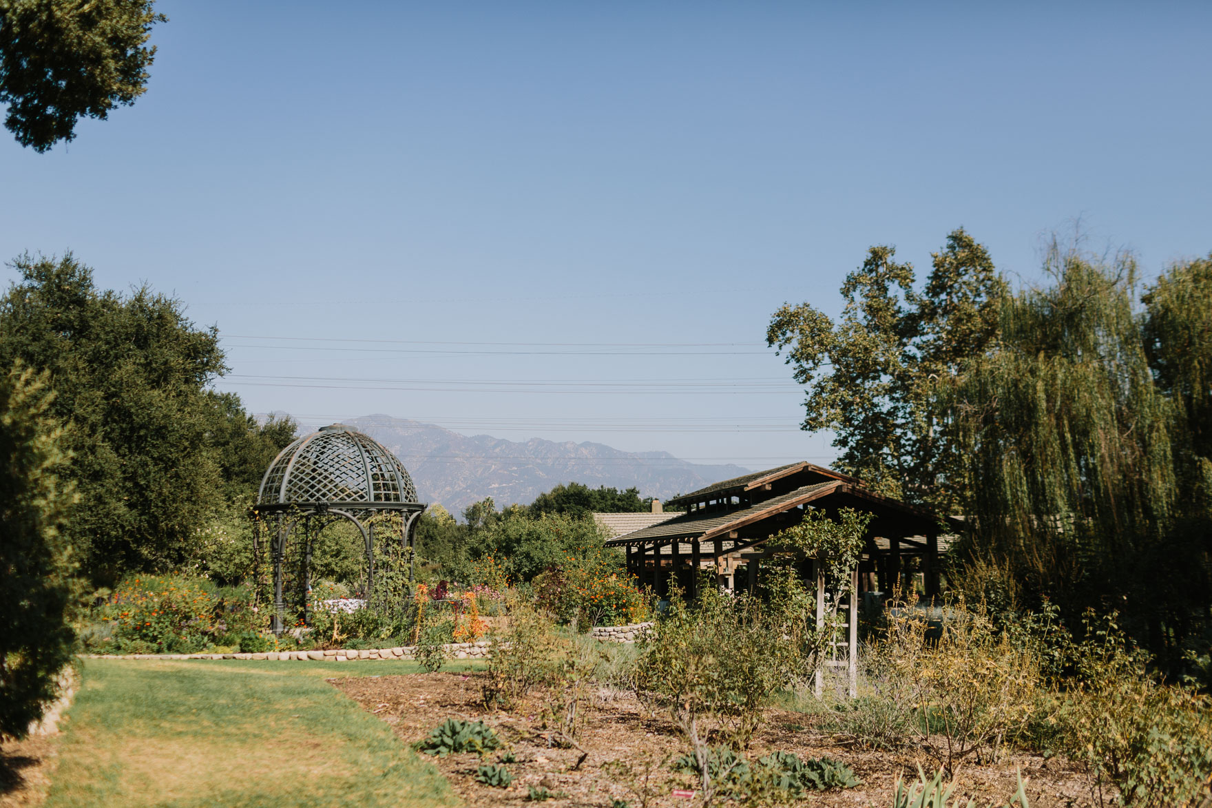 Dreamy Garden Union in LA – Photo by Let's Frolic Together