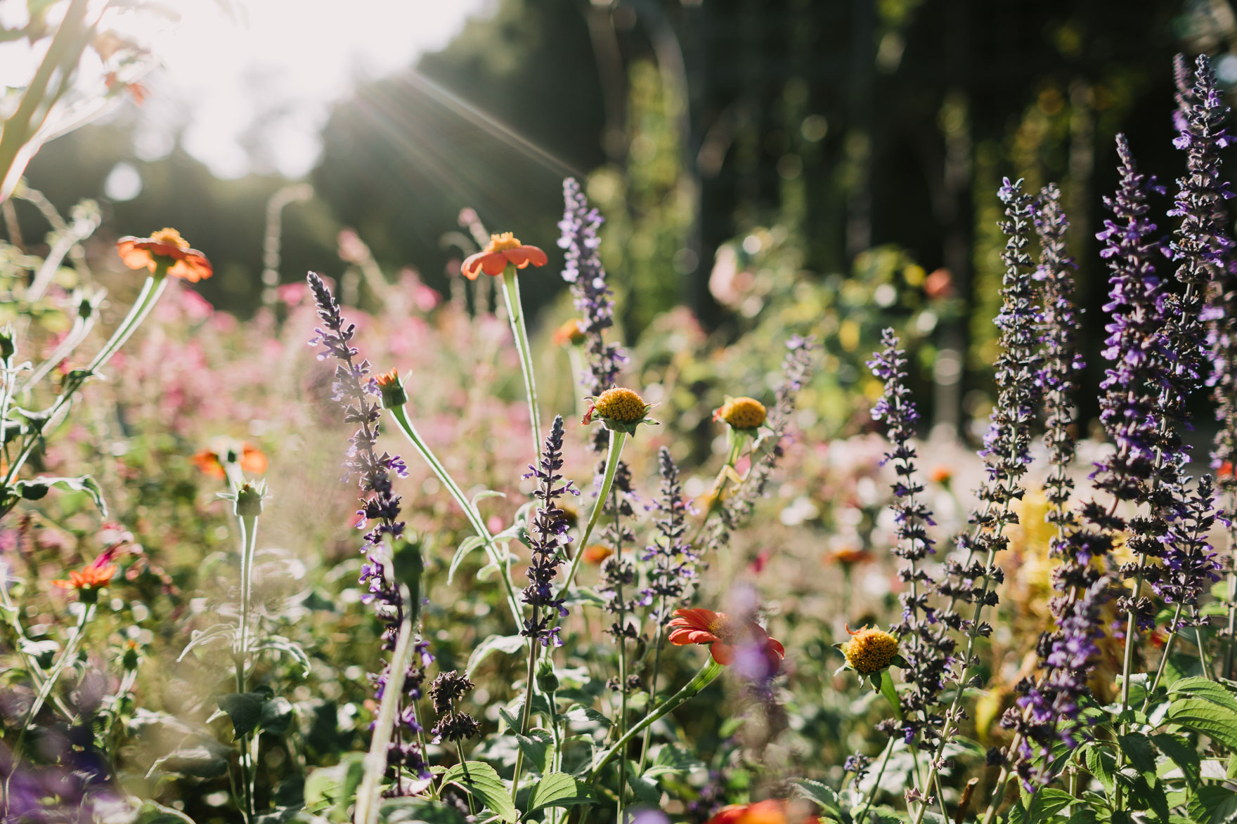 Dreamy Garden Union in LA – Photo by Let's Frolic Together