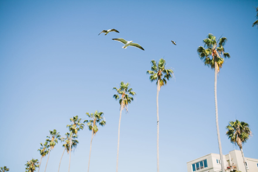 Shoreline La Jolla Snuggling &ndash; Photo by Let's Frolic Together