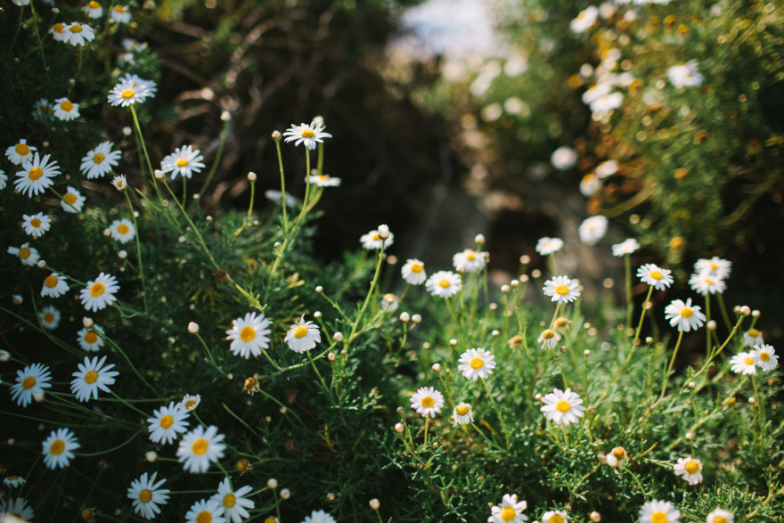 Shoreline La Jolla Snuggling &ndash; Photo by Let's Frolic Together