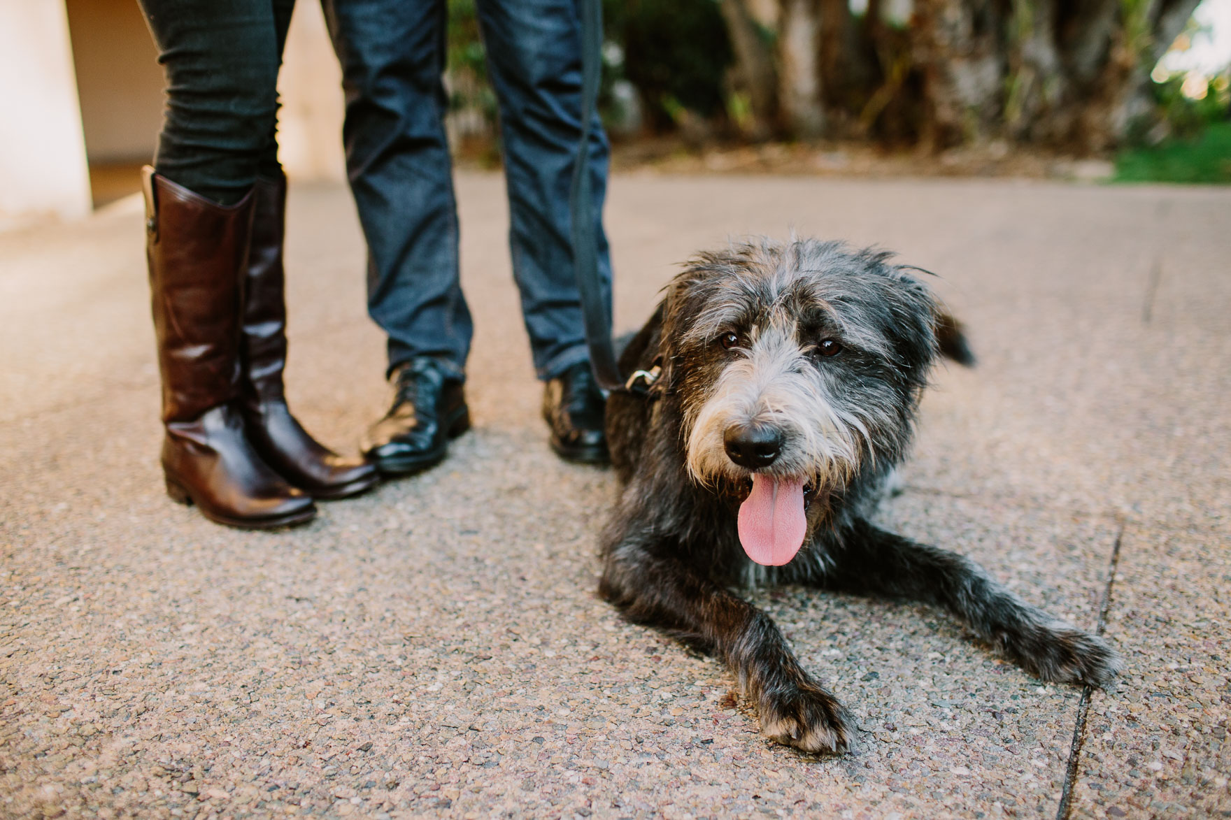 Brews & Fun at Balboa Park – Photo by Let's Frolic Together