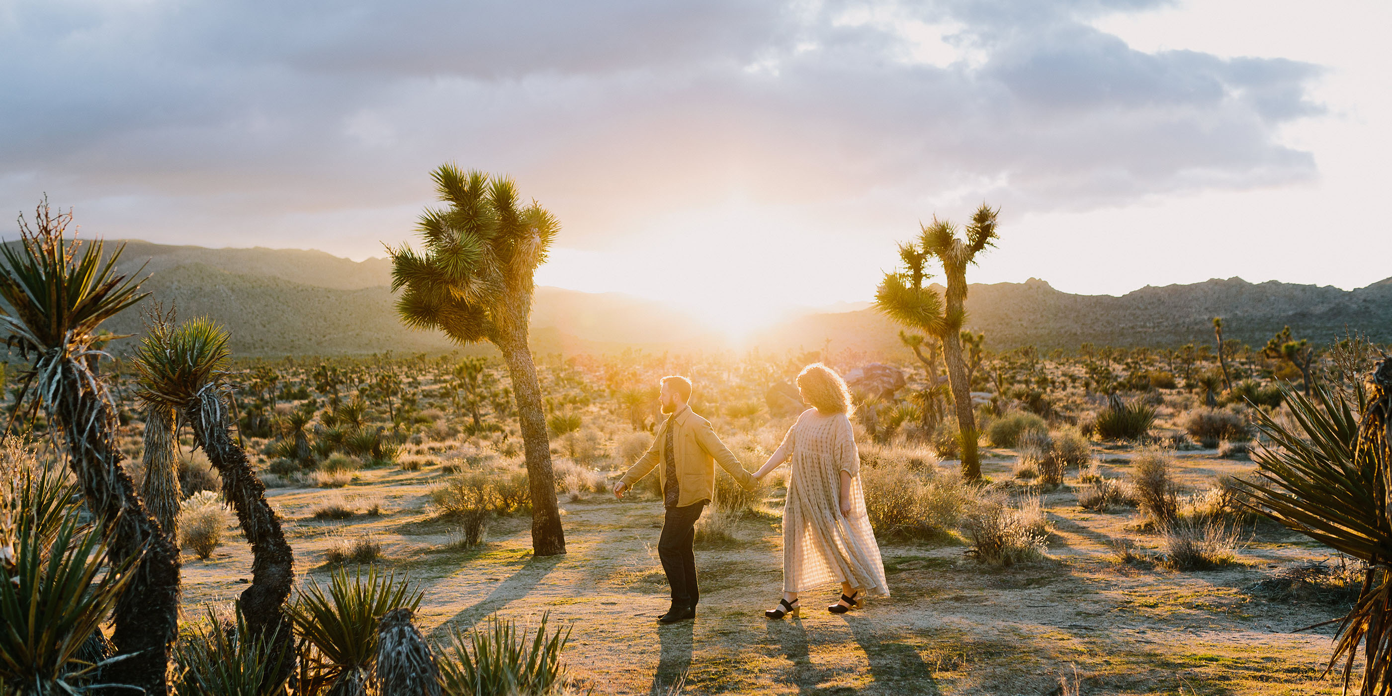 Joshua Tree National Park, all aglow at sunset