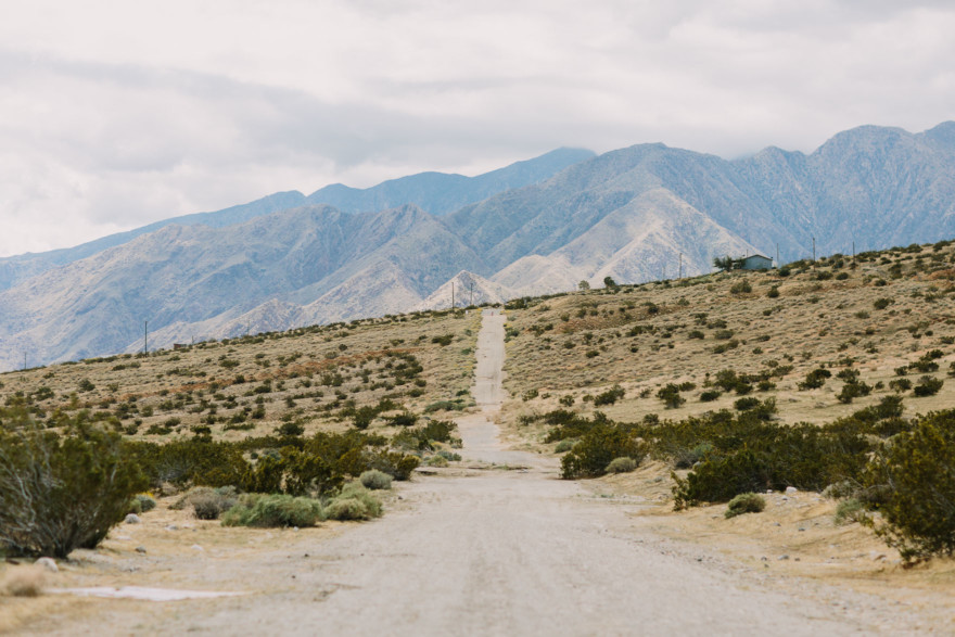 A Joshua Tree Glowing Frolic &ndash; Photo by Let's Frolic Together