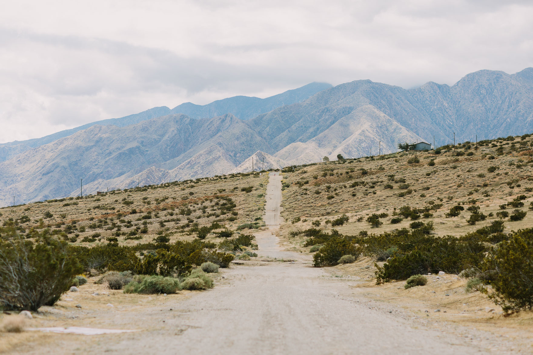 A Joshua Tree Glowing Frolic – Photo by Let's Frolic Together
