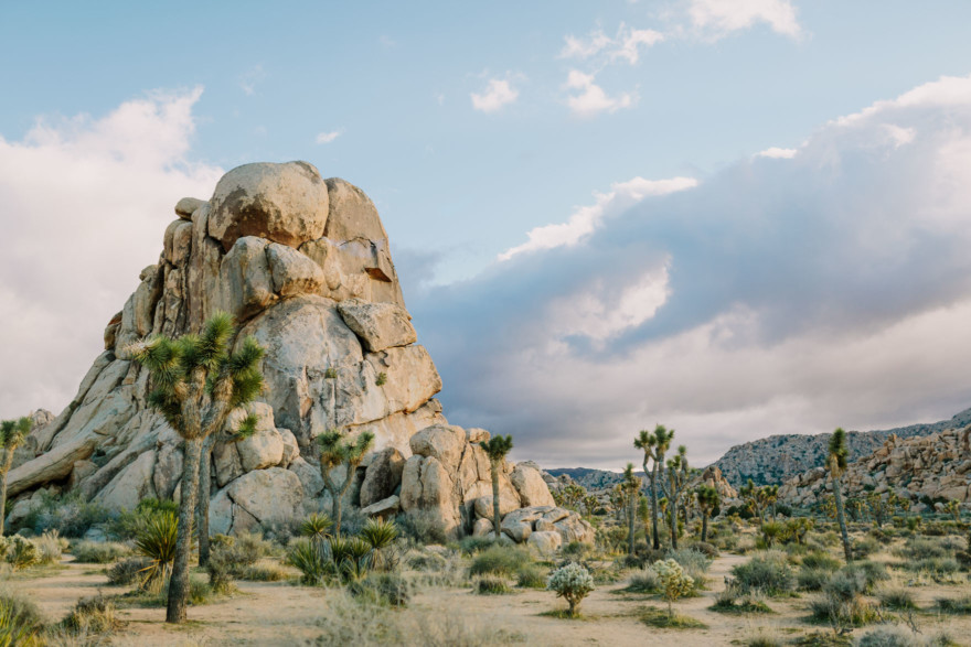 A Joshua Tree Glowing Frolic &ndash; Photo by Let's Frolic Together