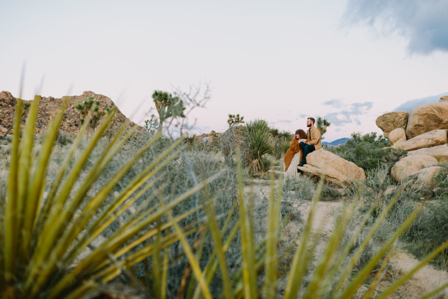 A Joshua Tree Glowing Frolic &ndash; Photo by Let's Frolic Together