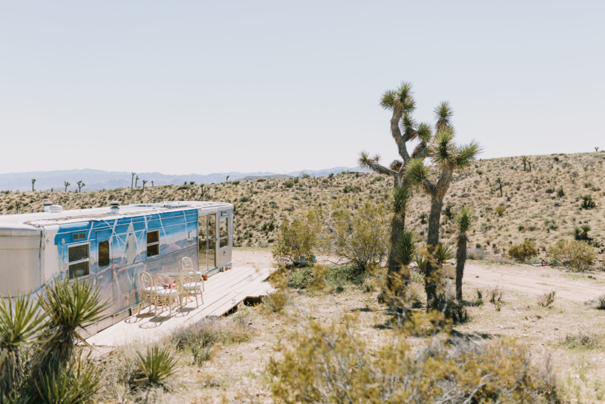 A Joshua Tree Glowing Frolic &ndash; Photo by Let's Frolic Together