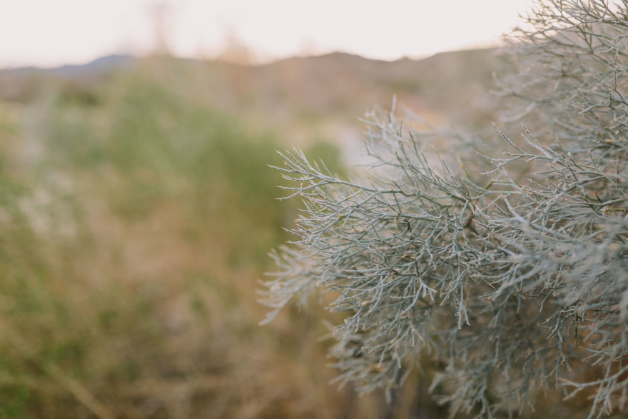 Black and White Desert Stroll &ndash; Photo by Let's Frolic Together