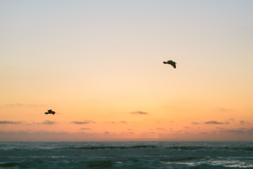 Skating By in Mission Beach &ndash; Photo by Let's Frolic Together