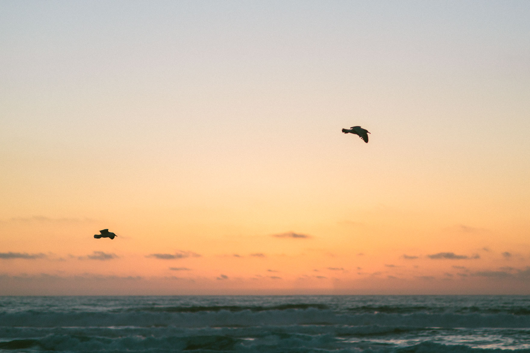 Skating By in Mission Beach – Photo by Let's Frolic Together