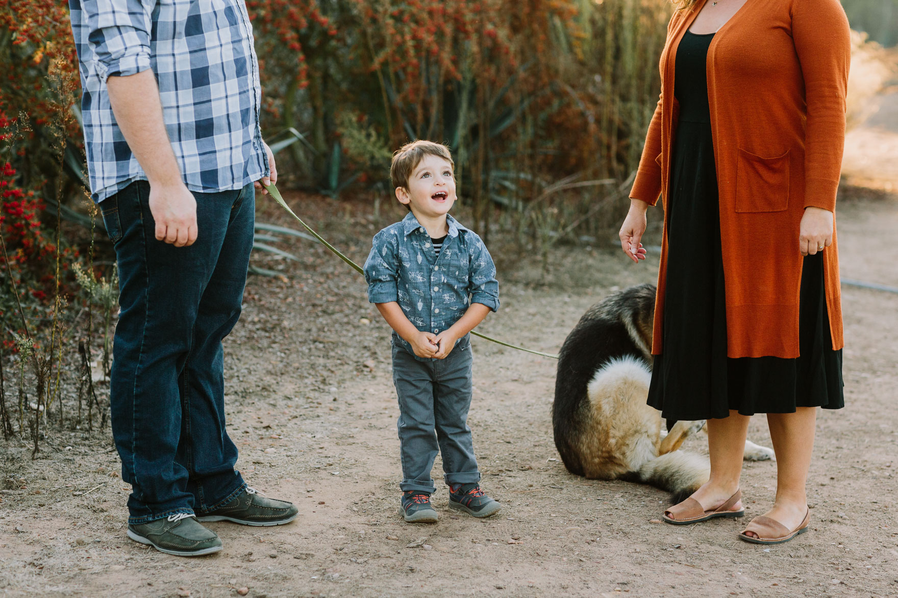 Family Nature Walk in the Park – Photo by Let's Frolic Together