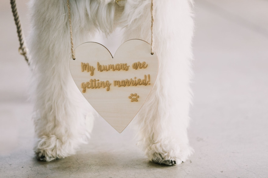 A Velvet Wedding at Historic Brick &ndash; Photo by Let's Frolic Together