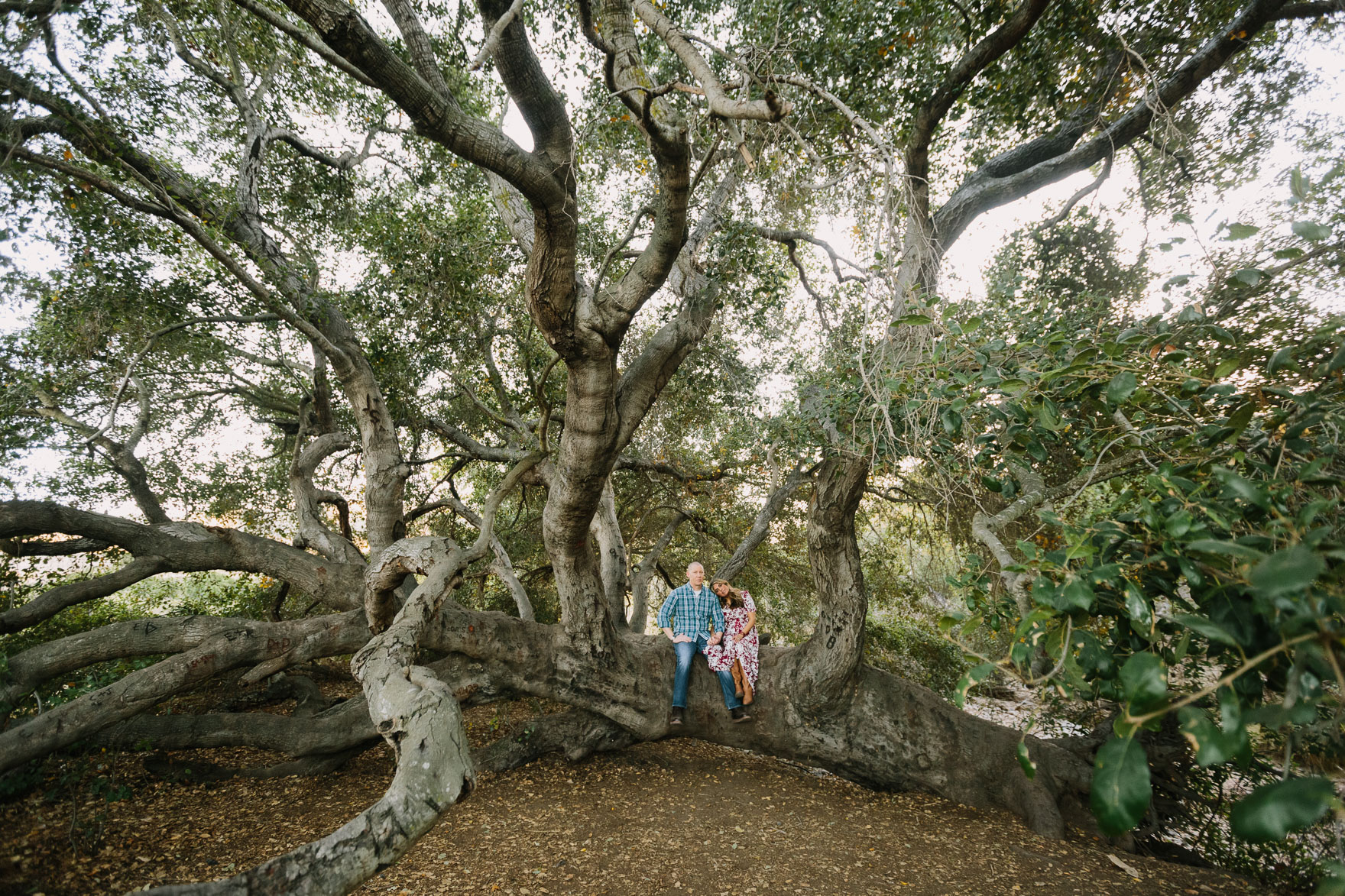 Silly, Tender, and Rustic Magic – Photo by Let's Frolic Together