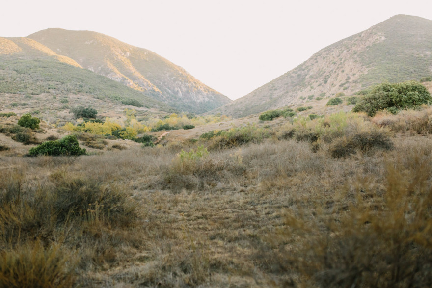 Silly, Tender, and Rustic Magic – Photo by Let's Frolic Together