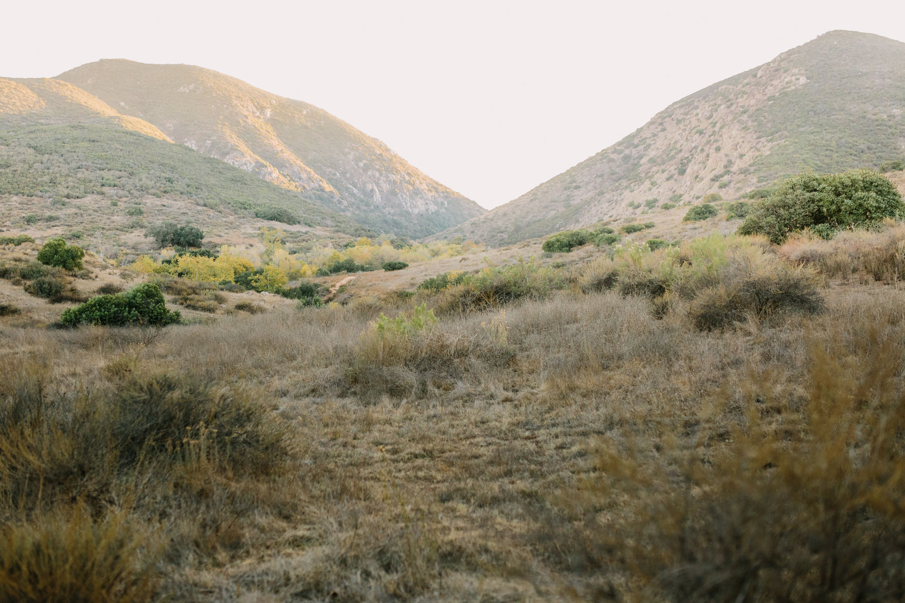 Silly, Tender, and Rustic Magic – Photo by Let's Frolic Together