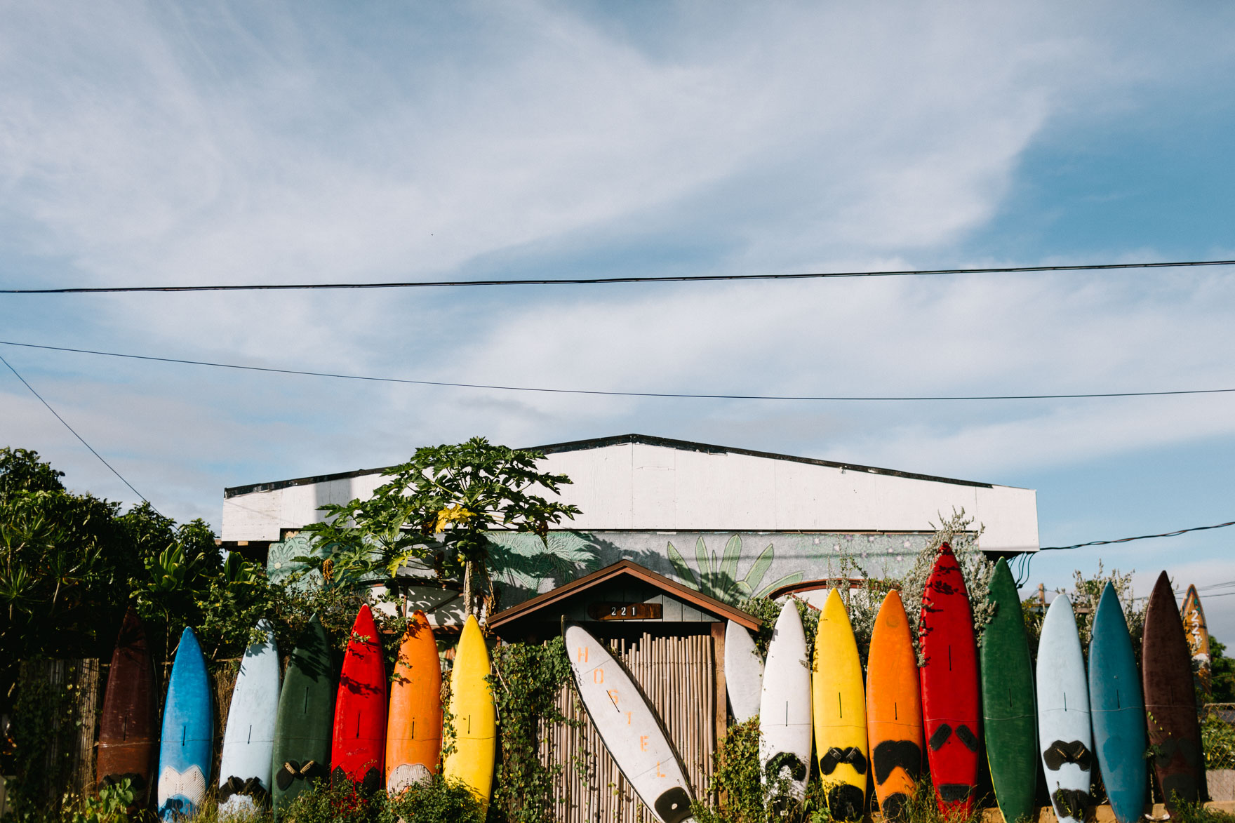 Misty Maui Travel Adventures – Photo by Let's Frolic Together
