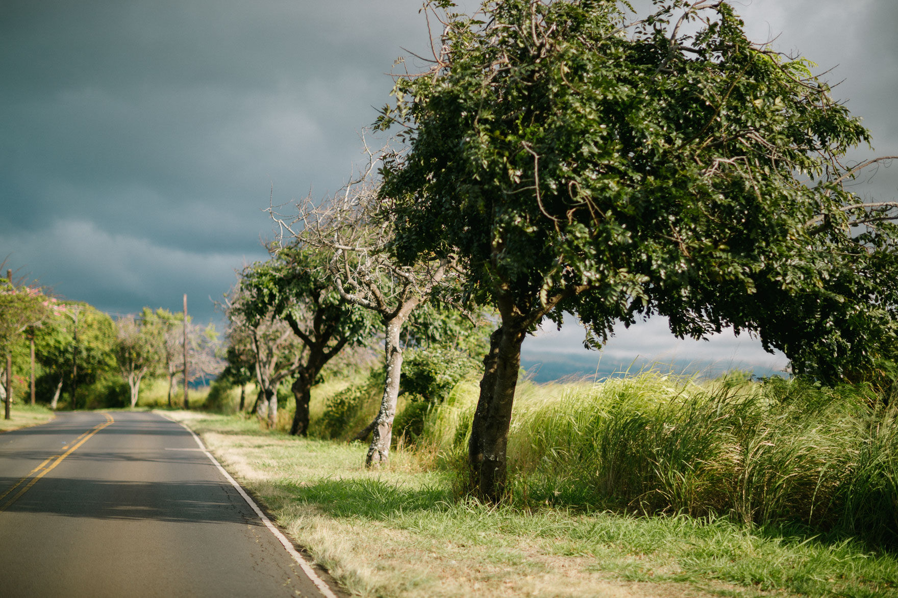 Misty Maui Travel Adventures – Photo by Let's Frolic Together