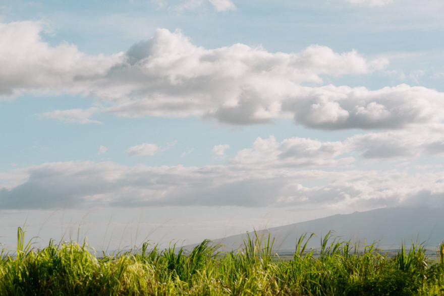 Misty Maui Travel Adventures – Photo by Let's Frolic Together