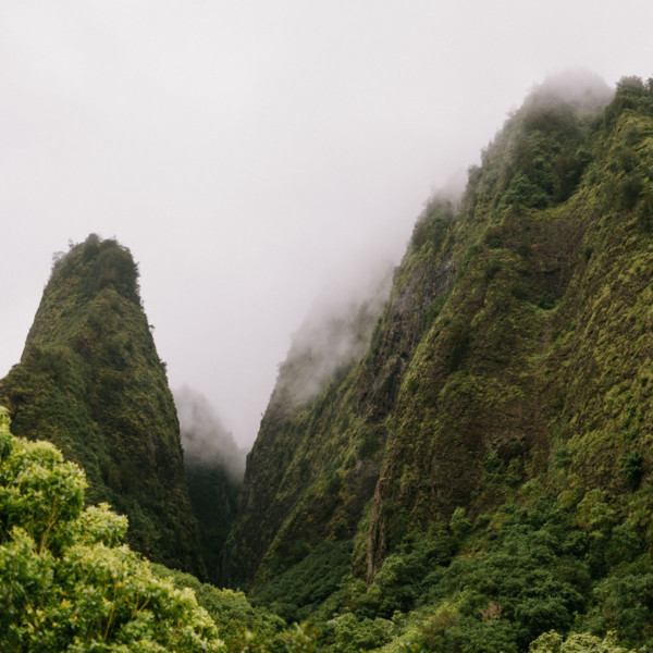 Misty Maui Travel Adventures &ndash; Photo by Let's Frolic Together