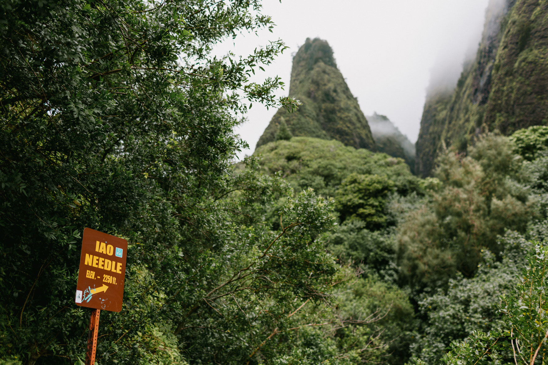 Misty Maui Travel Adventures – Photo by Let's Frolic Together