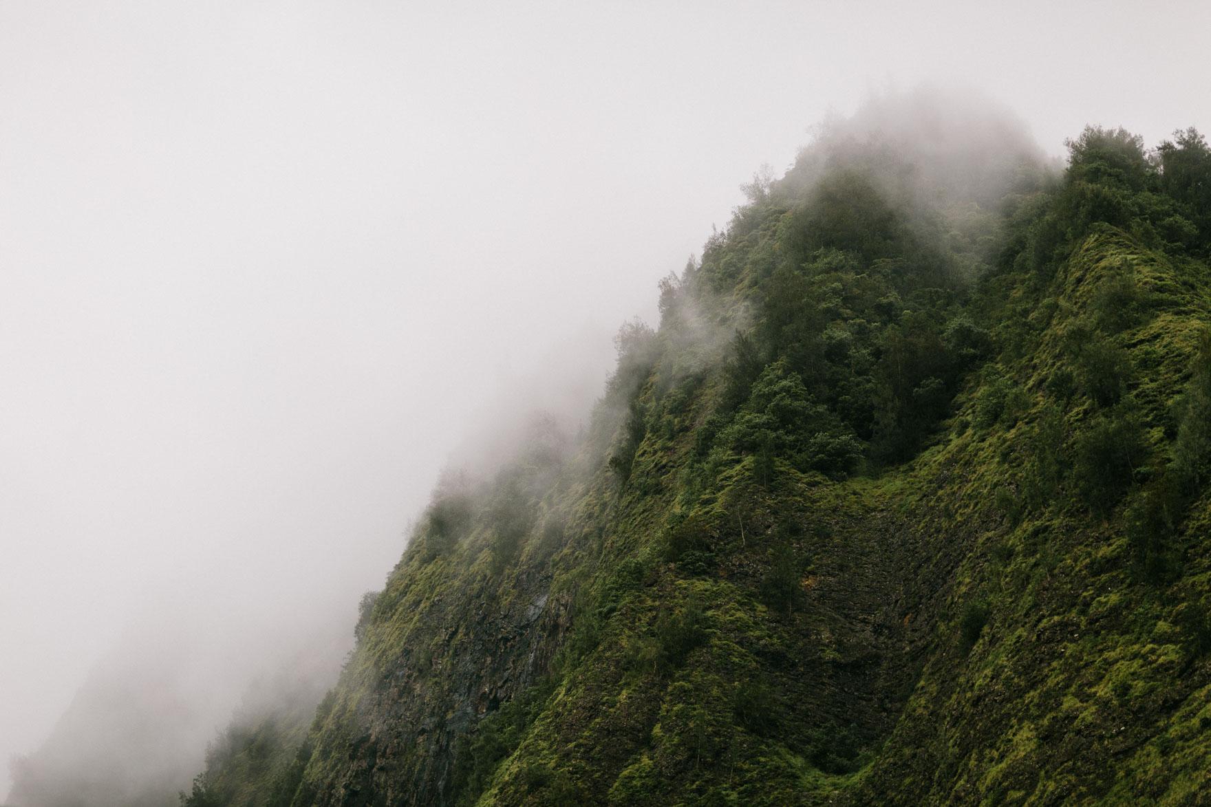 Misty Maui Travel Adventures – Photo by Let's Frolic Together