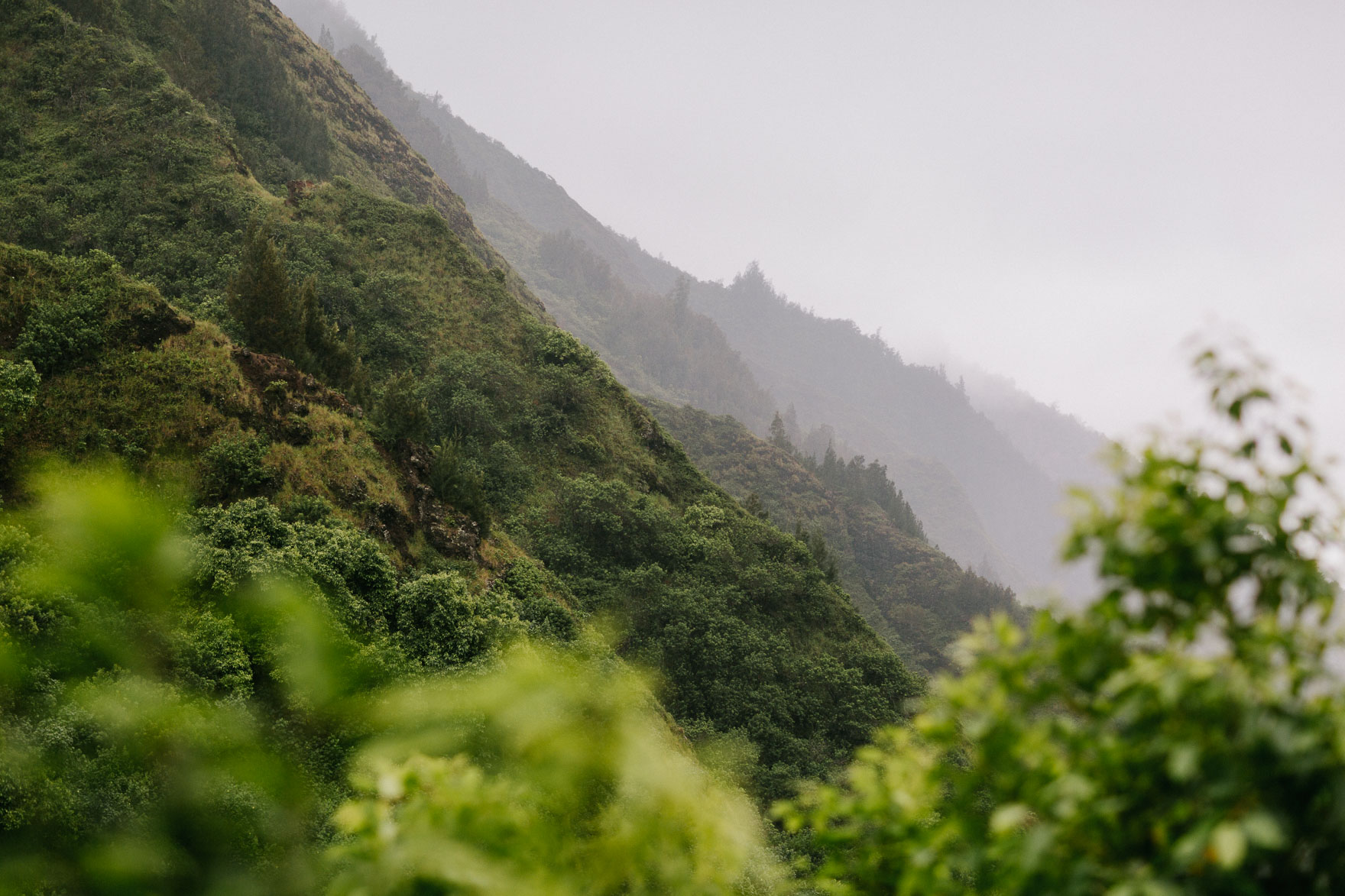 Misty Maui Travel Adventures – Photo by Let's Frolic Together