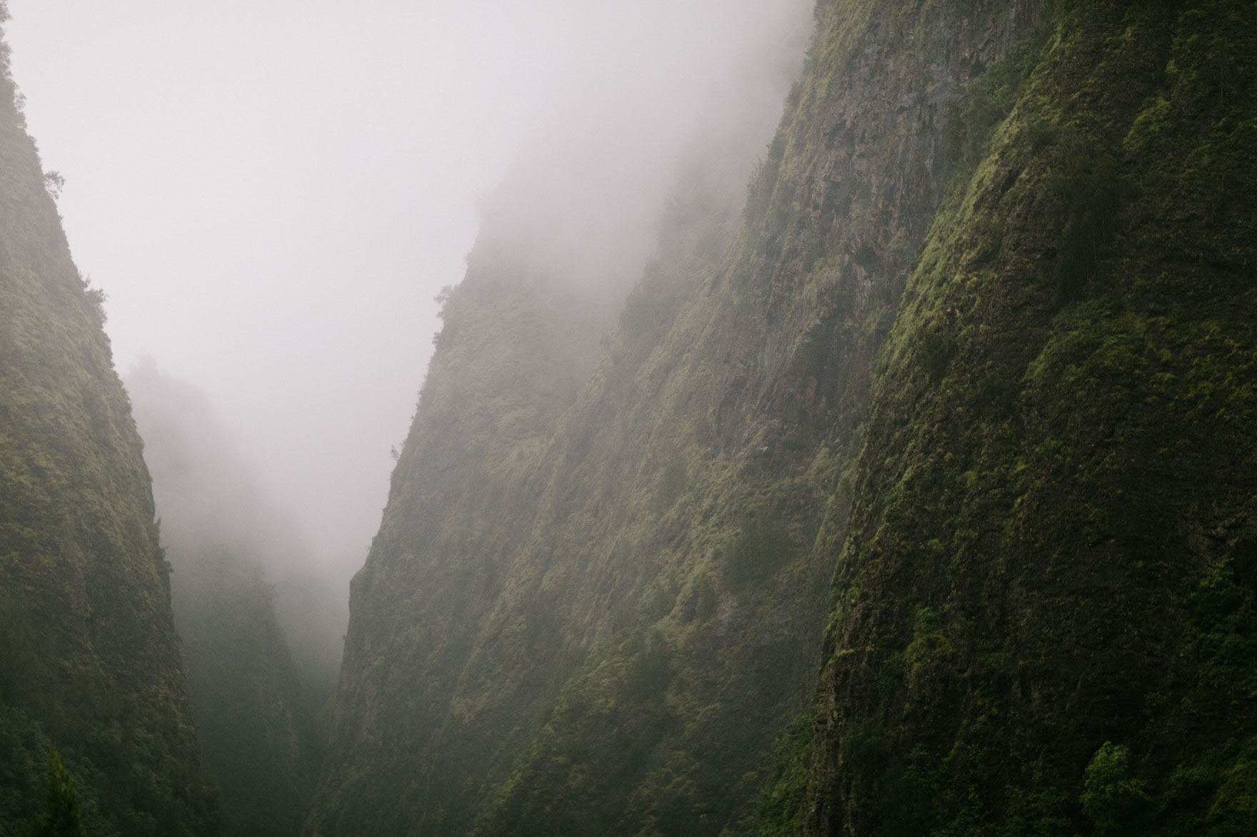 Misty Maui Travel Adventures – Photo by Let's Frolic Together