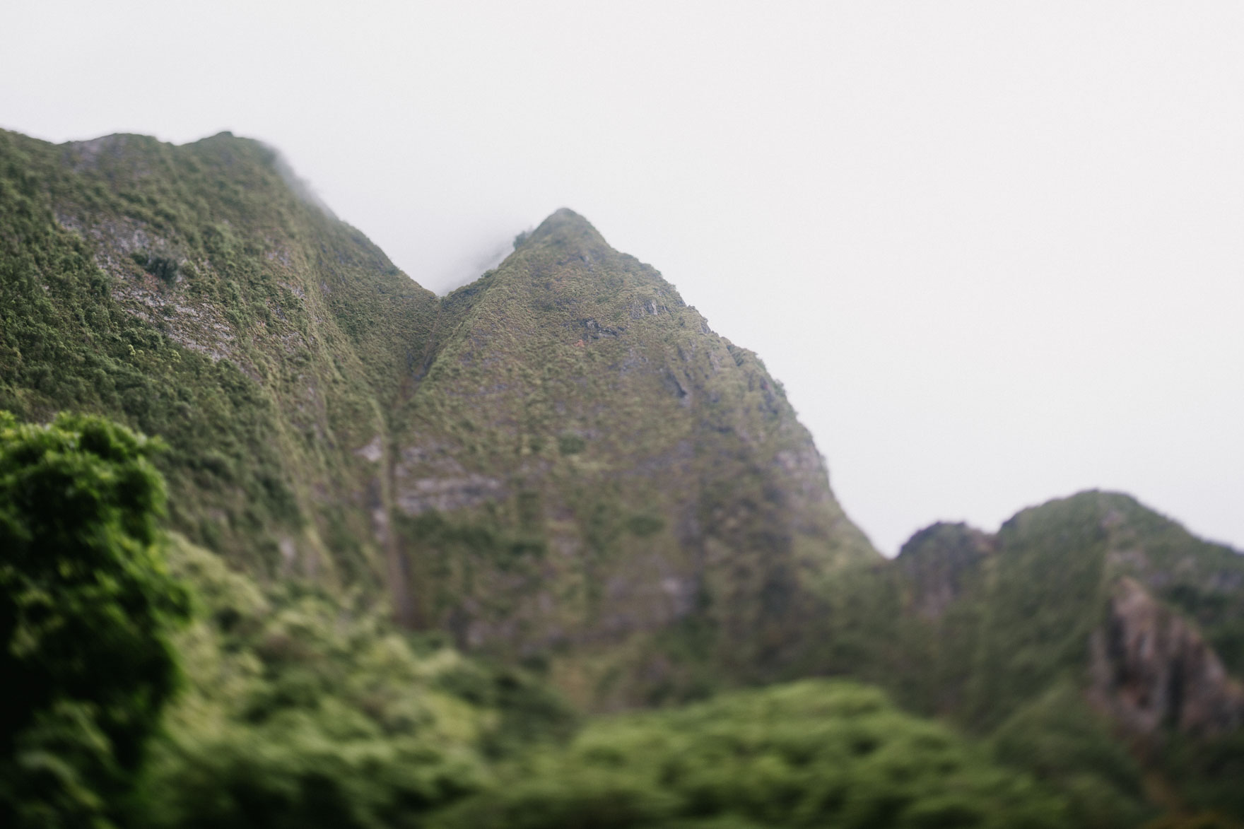 Misty Maui Travel Adventures – Photo by Let's Frolic Together