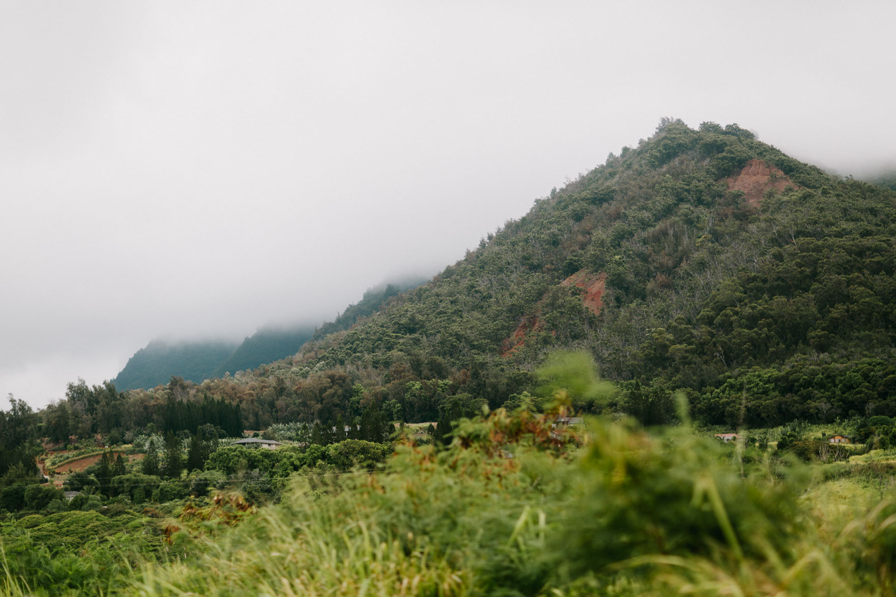 Misty Maui Travel Adventures – Photo by Let's Frolic Together