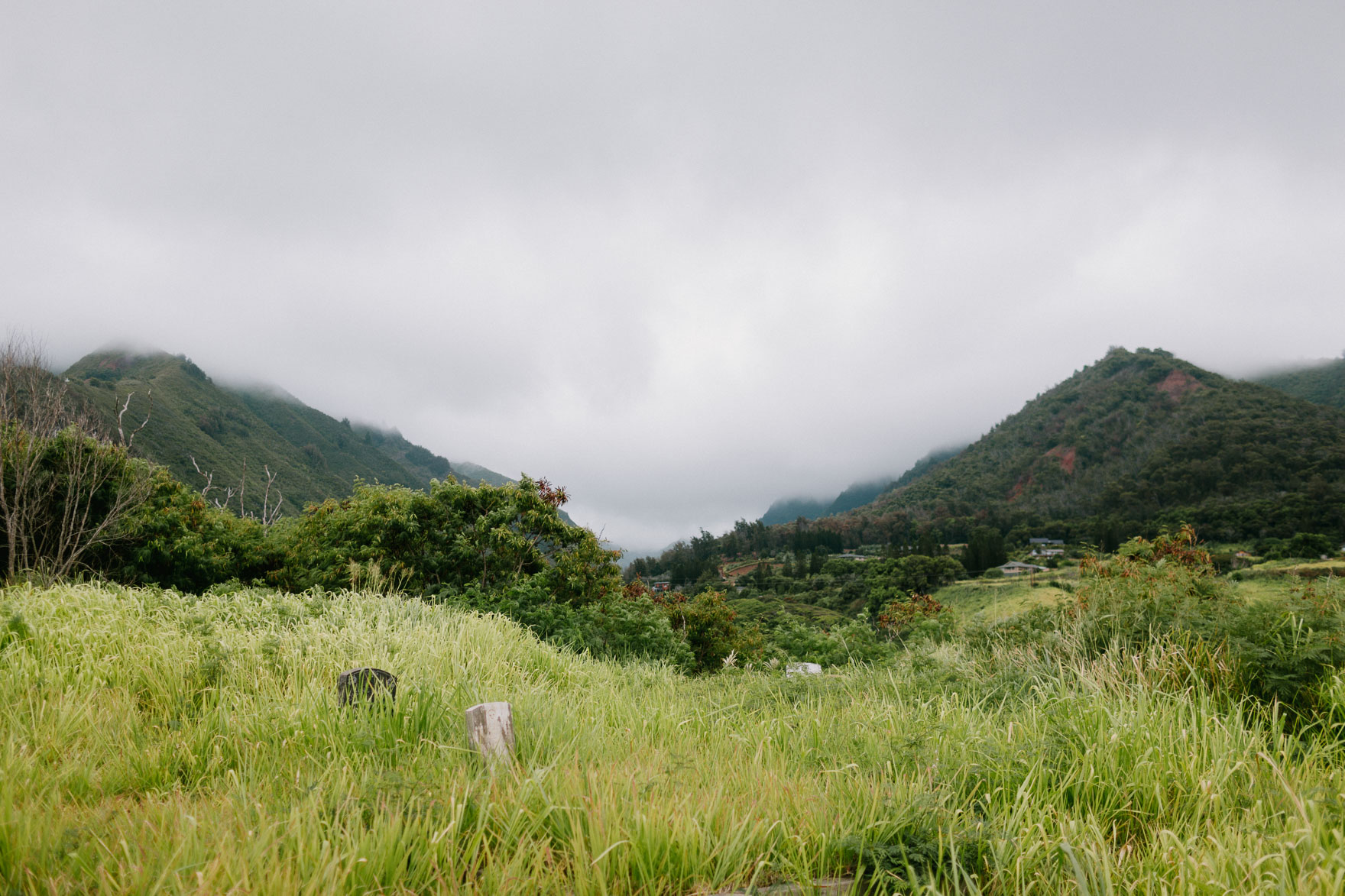 Misty Maui Travel Adventures – Photo by Let's Frolic Together