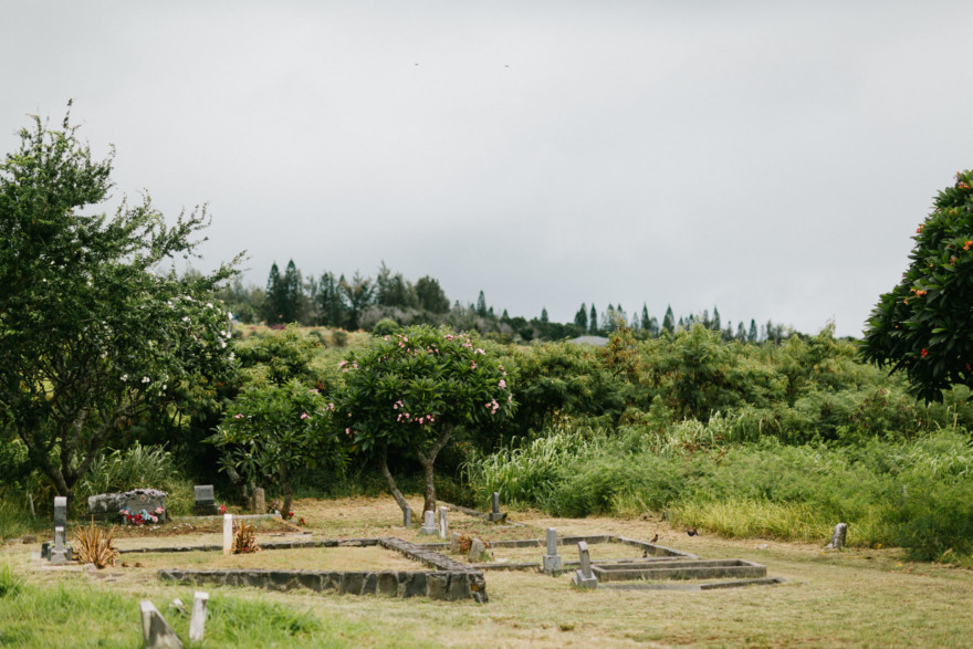 Misty Maui Travel Adventures – Photo by Let's Frolic Together
