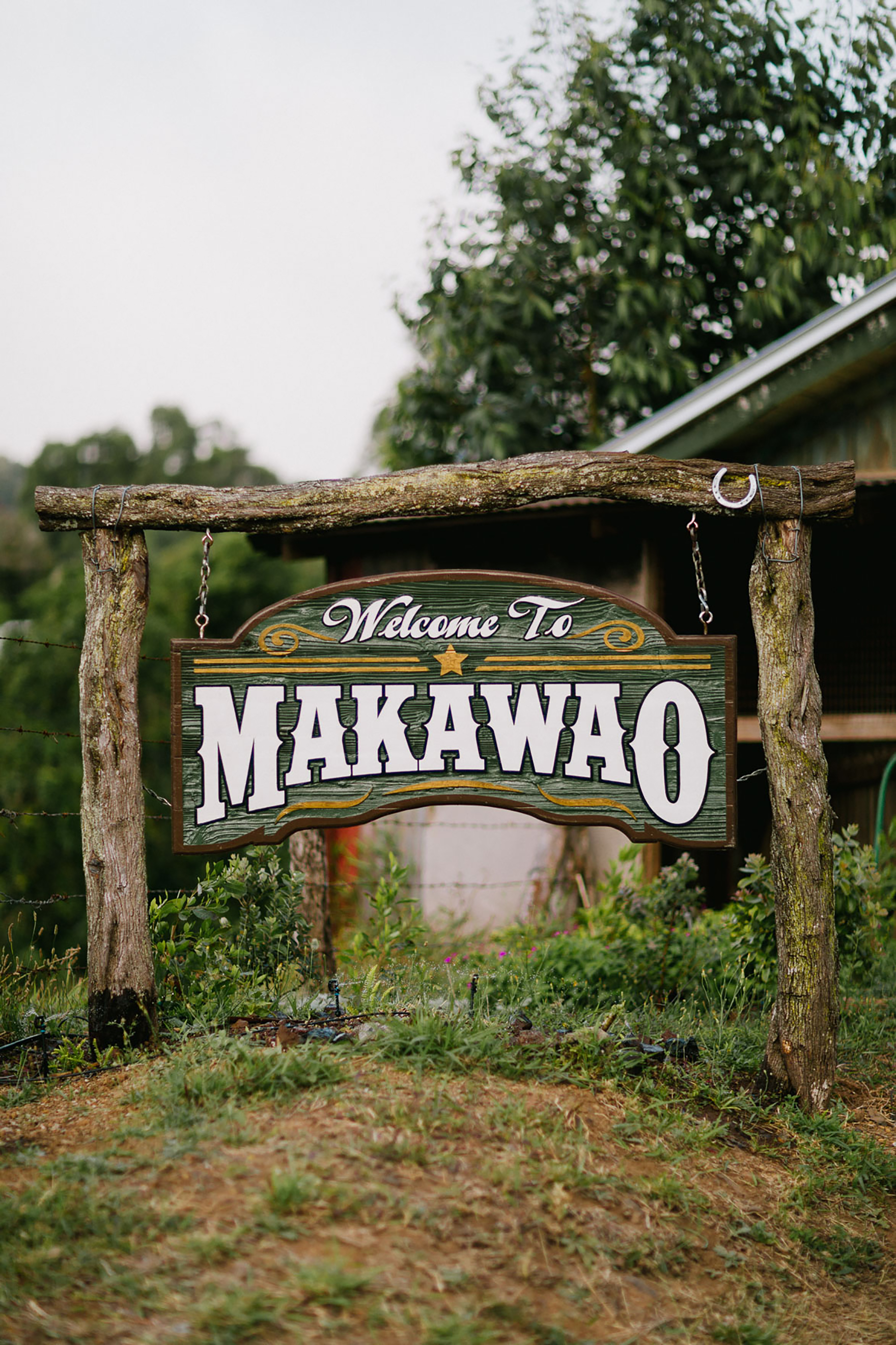 Misty Maui Travel Adventures – Photo by Let's Frolic Together