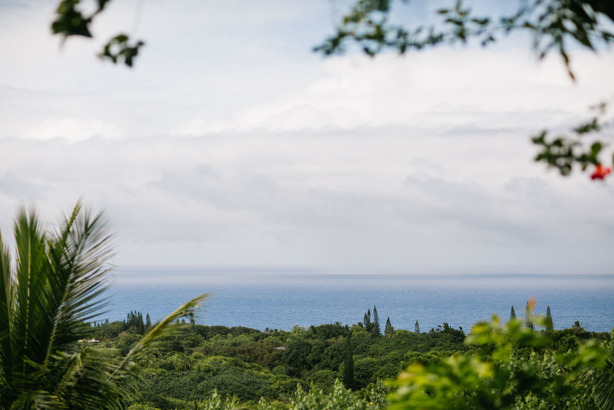 Misty Maui Travel Adventures – Photo by Let's Frolic Together