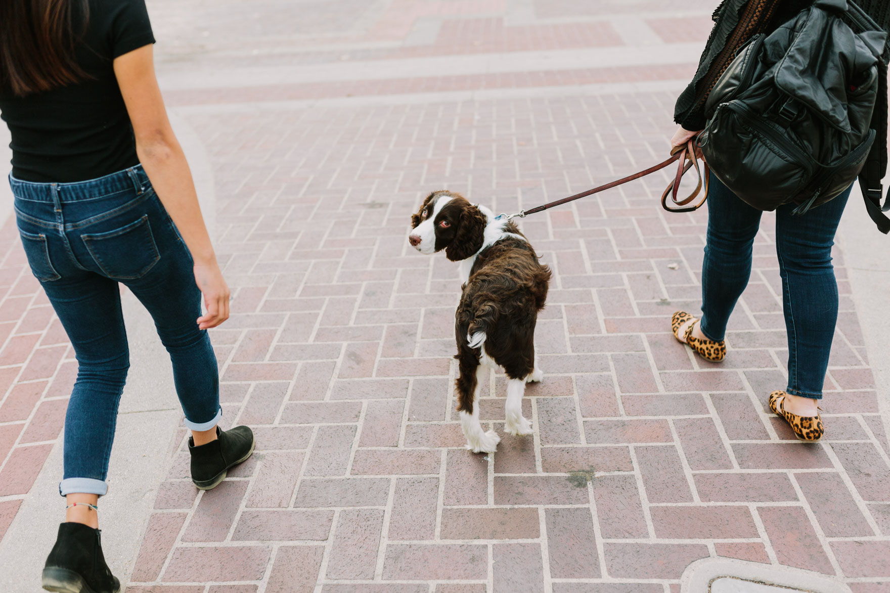 Neighborhood Fun in Pasadena – Photo by Let's Frolic Together