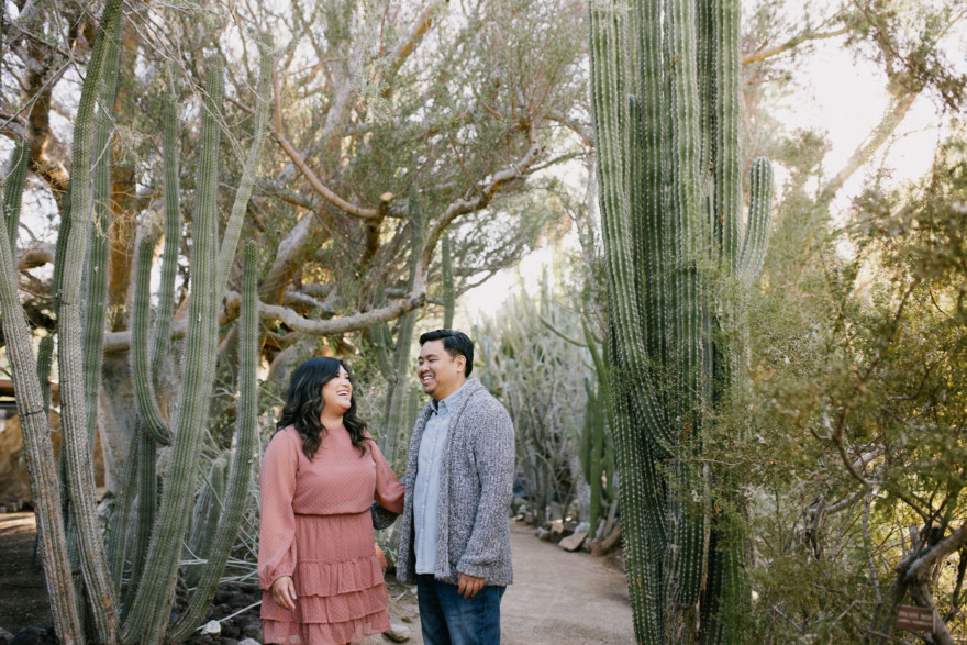 Moorten Garden at Golden Hour – Photo by Let's Frolic Together