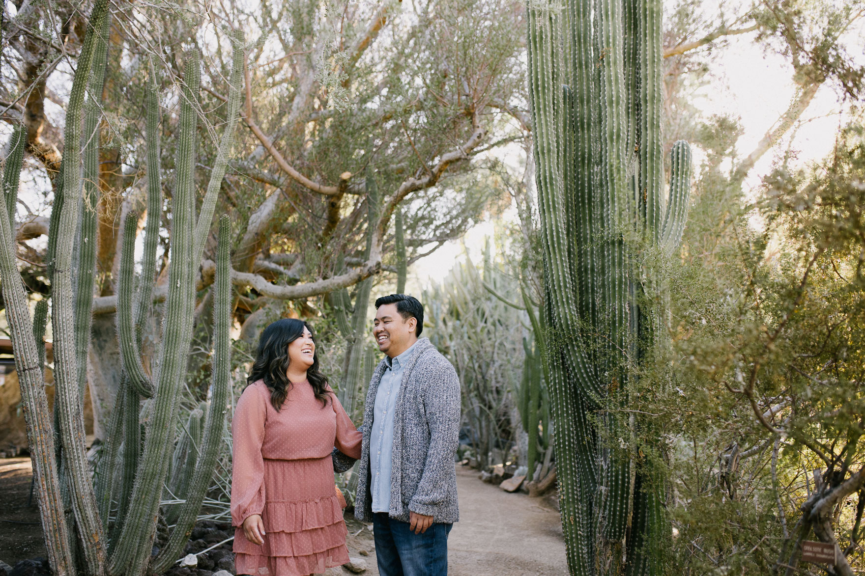 Moorten Garden at Golden Hour – Photo by Let's Frolic Together