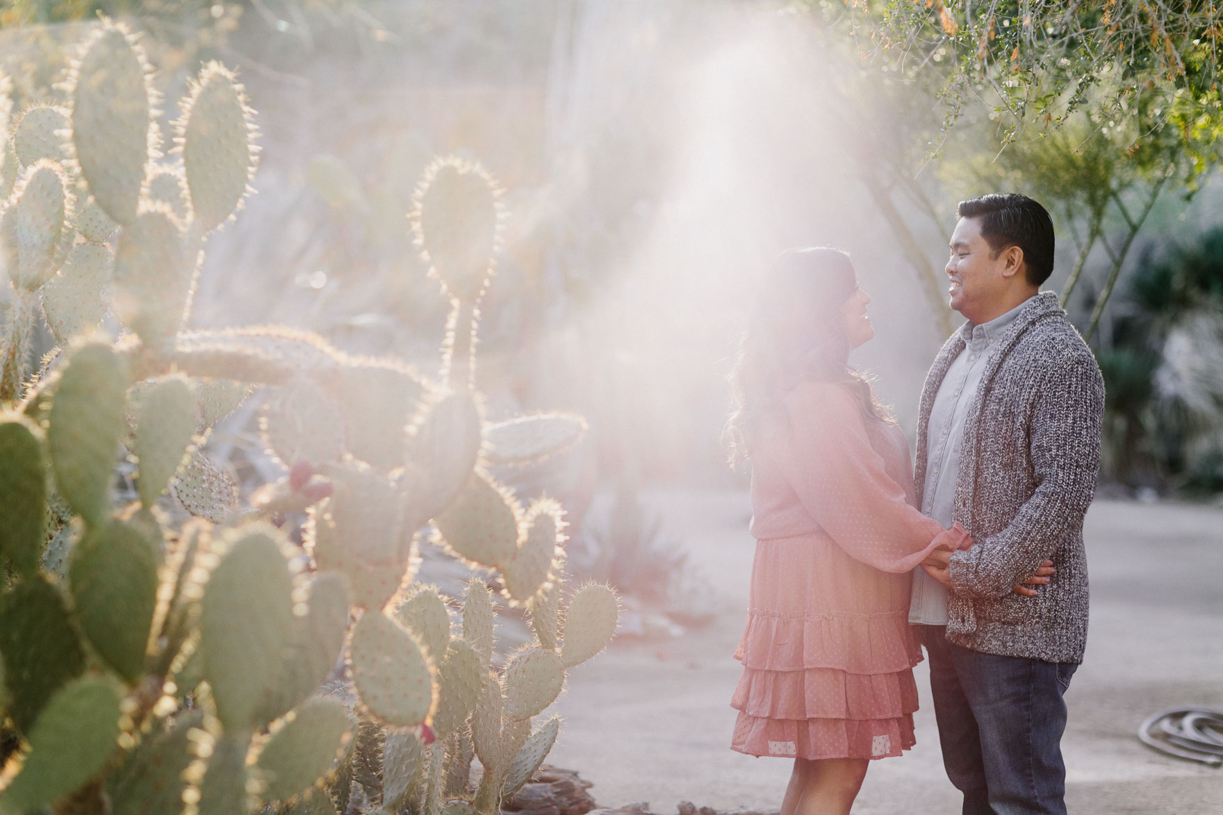 Moorten Garden at Golden Hour – Photo by Let's Frolic Together