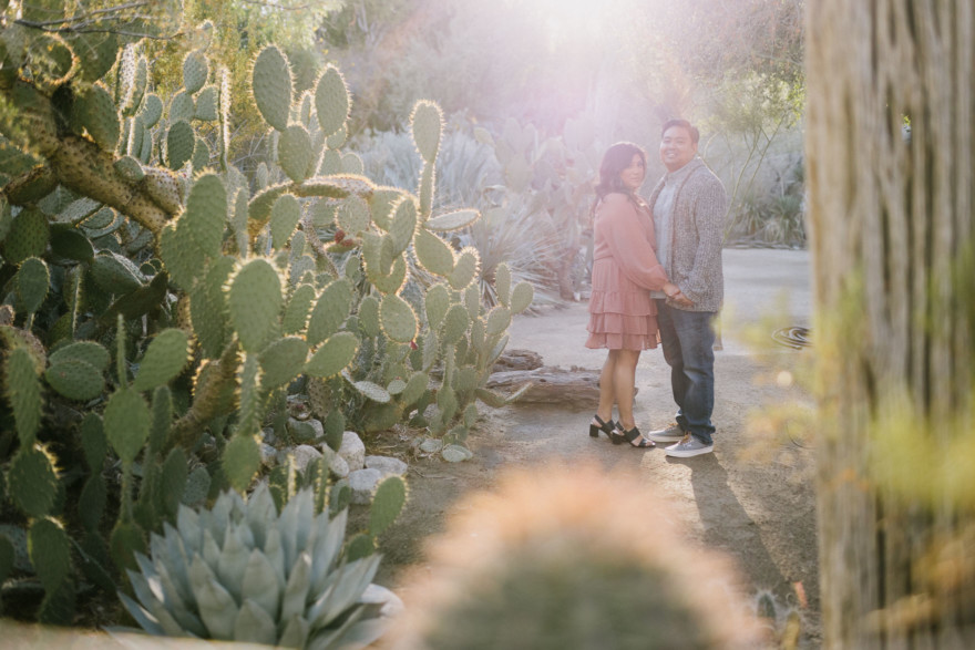 Moorten Garden at Golden Hour – Photo by Let's Frolic Together