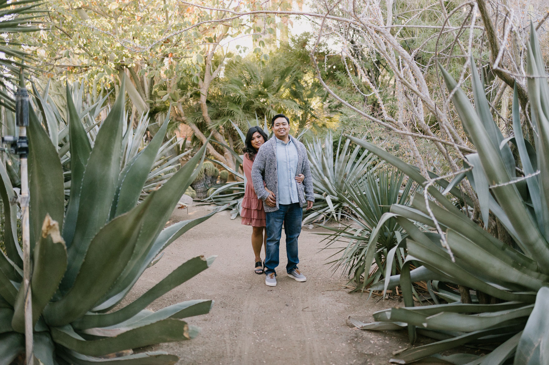 Moorten Garden at Golden Hour – Photo by Let's Frolic Together