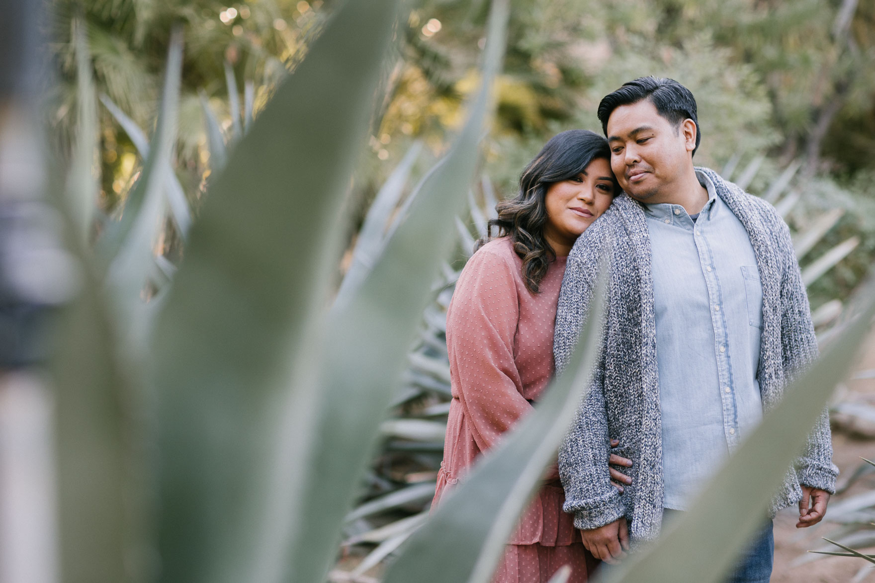 Moorten Garden at Golden Hour – Photo by Let's Frolic Together