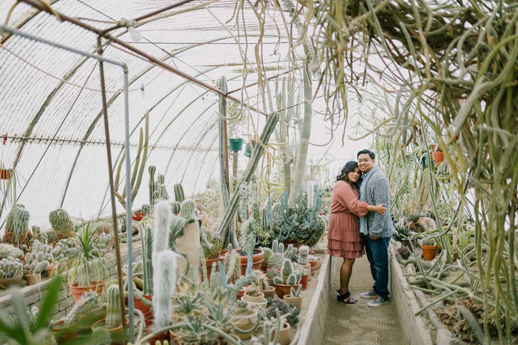 Moorten Garden at Golden Hour – Photo by Let's Frolic Together