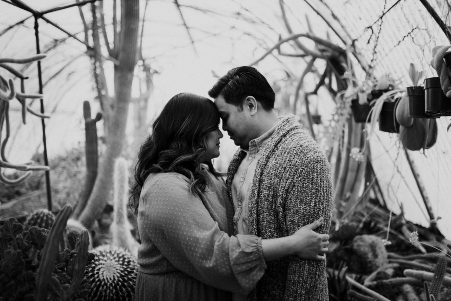 Moorten Garden at Golden Hour – Photo by Let's Frolic Together