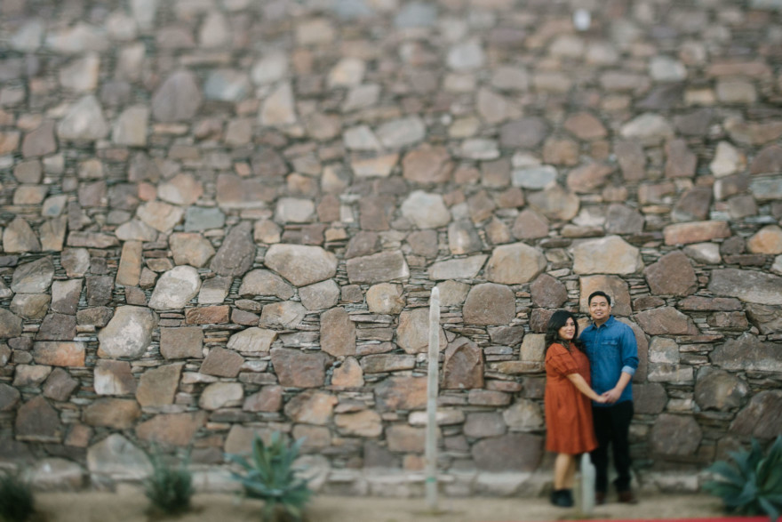 Moorten Garden at Golden Hour – Photo by Let's Frolic Together