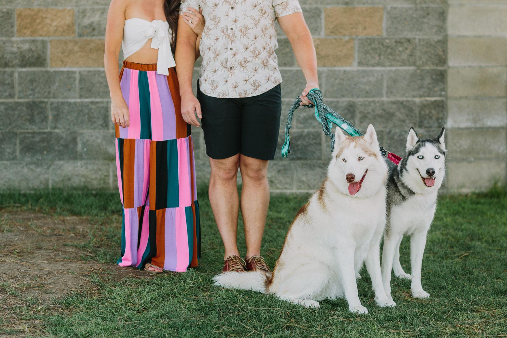 Huskies by the Sandy Shore – Photo by Let's Frolic Together