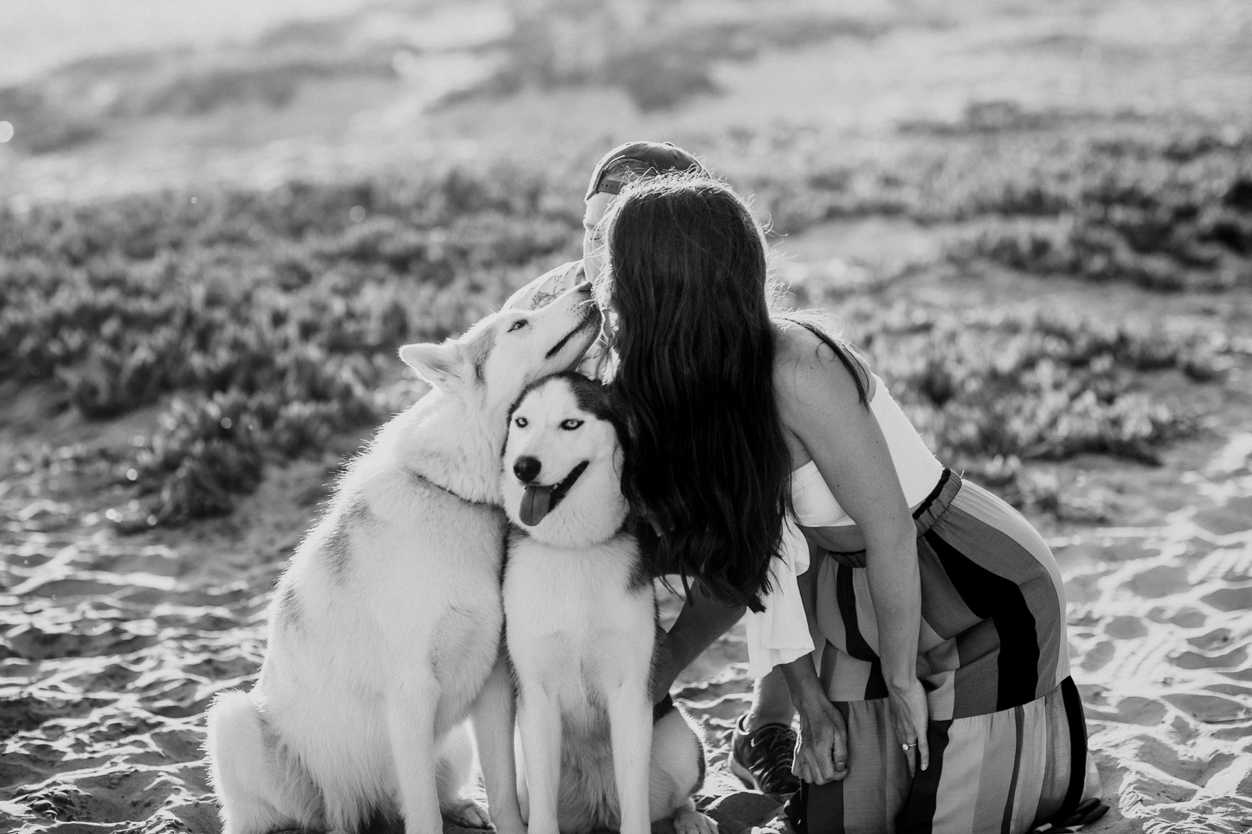 Huskies by the Sandy Shore – Photo by Let's Frolic Together